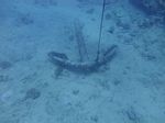 Hawaii Scuba divng 47