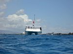 Hawaii Scuba divng 48