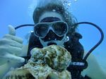 Hawaii Scuba divng 66