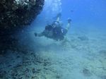 Hawaii Scuba divng 72