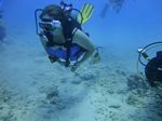 Hawaii Scuba divng 73