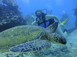 Hawaii Scuba divng 76