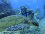 Hawaii Scuba divng 76