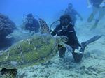 Hawaii Scuba divng 77