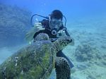 Hawaii Scuba divng 80