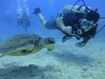 Hawaii Scuba divng 82