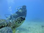 Hawaii Scuba divng 84