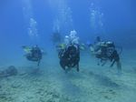 Hawaii Scuba divng 85