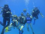 Hawaii Scuba divng 97