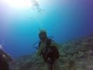 Hawaii Scuba divng 13