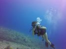 Hawaii Scuba divng 17