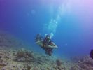 Hawaii Scuba divng 18