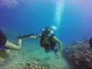 Hawaii Scuba divng 22