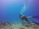 Hawaii Scuba divng 23