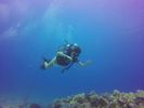 Hawaii Scuba divng 27