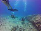 Hawaii Scuba divng 29