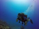 Hawaii Scuba divng 34