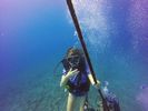 Hawaii Scuba divng 41