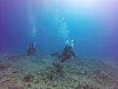 Hawaii Scuba divng 52