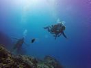 Hawaii Scuba divng 60