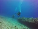 Hawaii Scuba divng 69