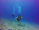 Hawaii Scuba divng 72