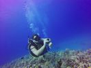 Hawaii Scuba divng 75