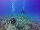 Hawaii Scuba divng 76