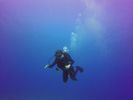 Hawaii Scuba divng 81