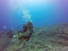 Hawaii Scuba divng 10