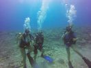 Hawaii Scuba divng 11