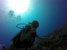 Hawaii Scuba divng 14
