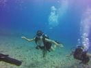 Hawaii Scuba divng 21