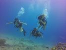 Hawaii Scuba divng 26