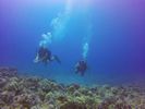 Hawaii Scuba divng 36