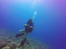 Hawaii Scuba divng 39