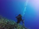 Hawaii Scuba divng 48