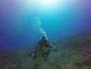 Hawaii Scuba divng 49