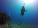 Hawaii Scuba divng 56