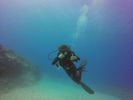 Hawaii Scuba divng 63