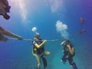 Hawaii Scuba divng 06