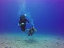 Hawaii Scuba divng 71