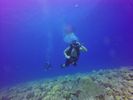 Hawaii Scuba divng 77