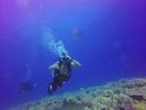 Hawaii Scuba divng 78