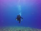 Hawaii Scuba divng 79