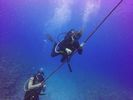 Hawaii Scuba divng 82