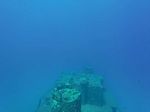 Hawaii Scuba divng 11