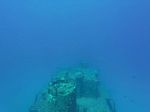 Hawaii Scuba divng 12