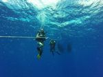 Hawaii Scuba divng 01