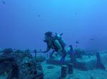 Hawaii Scuba divng 25